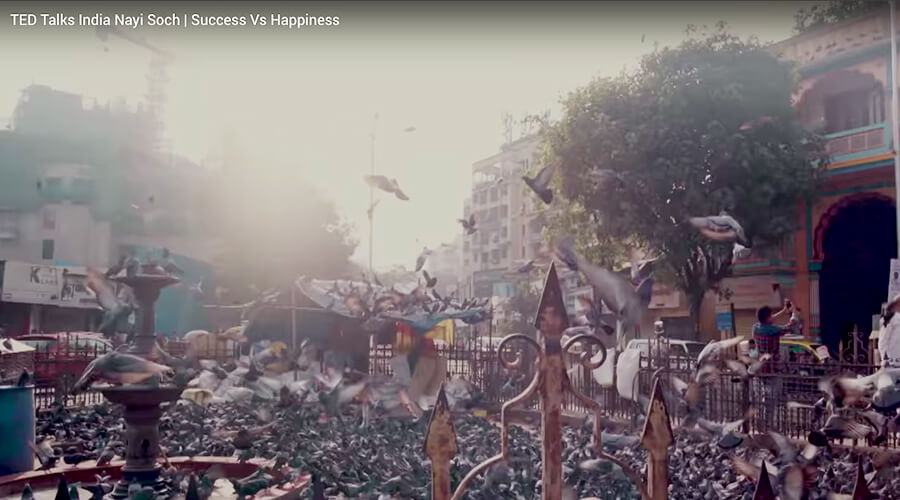 Success Vs Happiness
